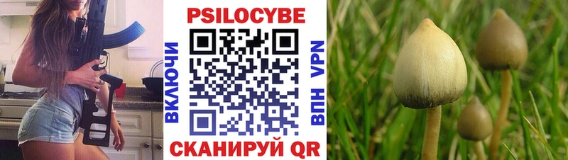 Псилоцибиновые грибы Cubensis  Купить  Губкин 